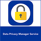 Data Privacy Manager Service | GRC Solutions 